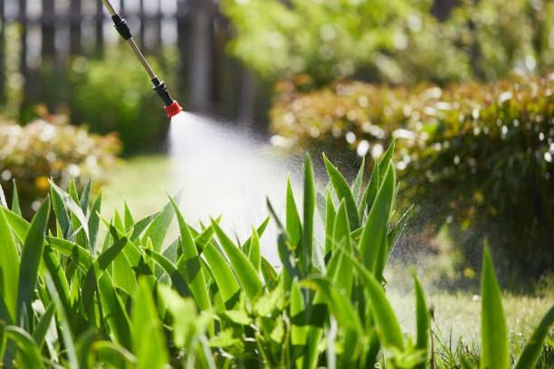 24/7 Emergency Cockroach Control experts in North Randall, OH